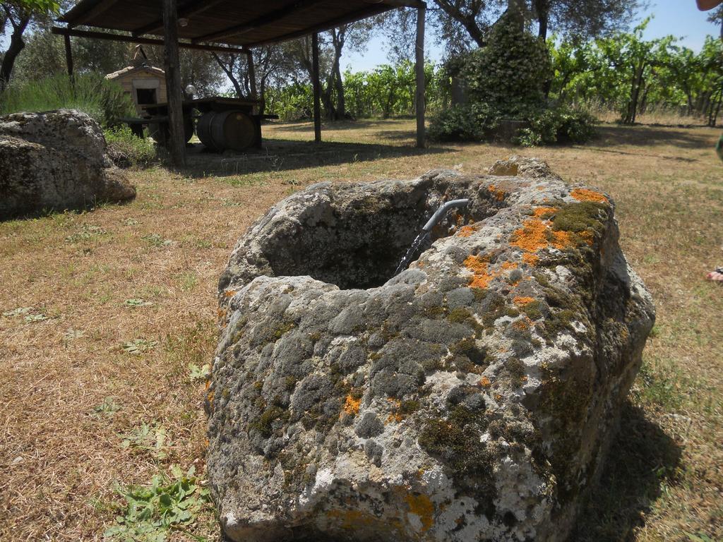 Agriturismo Tenuta Roccaccia Pitigliano Kültér fotó