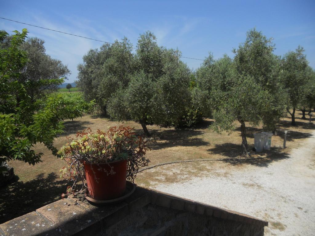Agriturismo Tenuta Roccaccia Pitigliano Kültér fotó